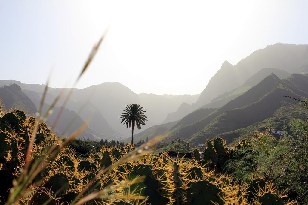 La Papaya - Eco - Yoga - Hiking - Hostel Agaete  Εξωτερικό φωτογραφία